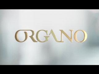 Organo