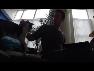 Самый нуждающийся в ласке котик