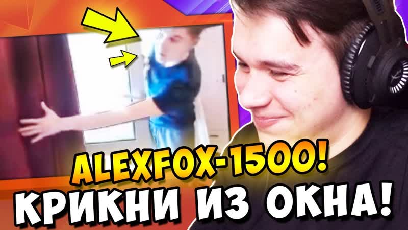 [alex fox] стример крикнул в окно донатим стримерам!
