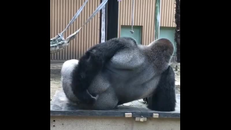 Комар укусил