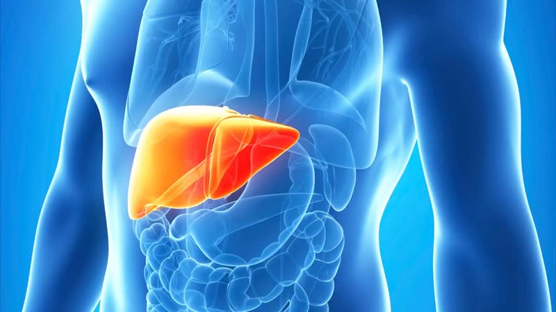 Первые симптомы гепатита
