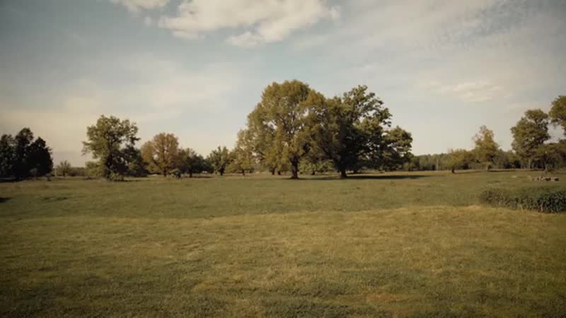 Хитобои романс