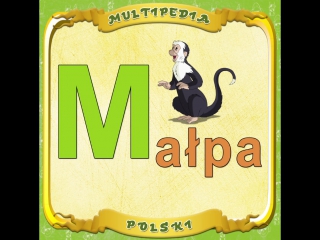 Multipedia zwierząt (instagram hd) małpa