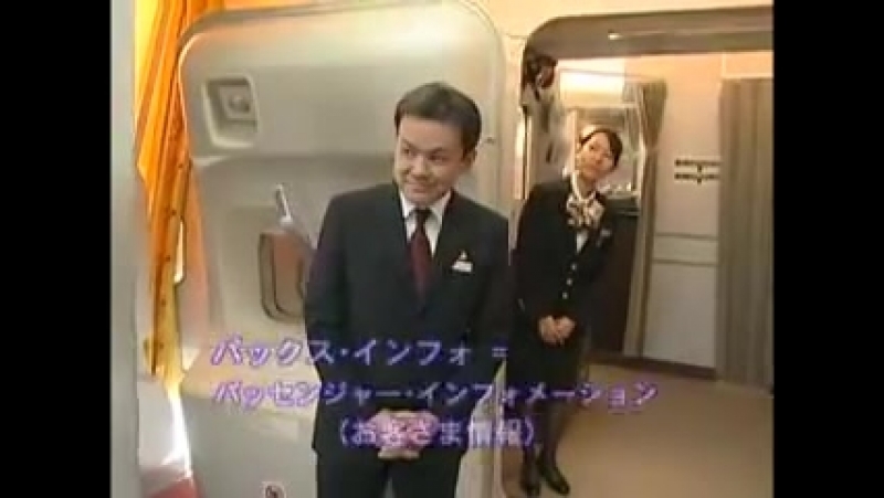Jal cabin attendant