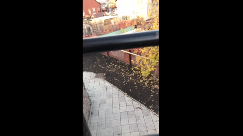 Топ 5 падений руферов