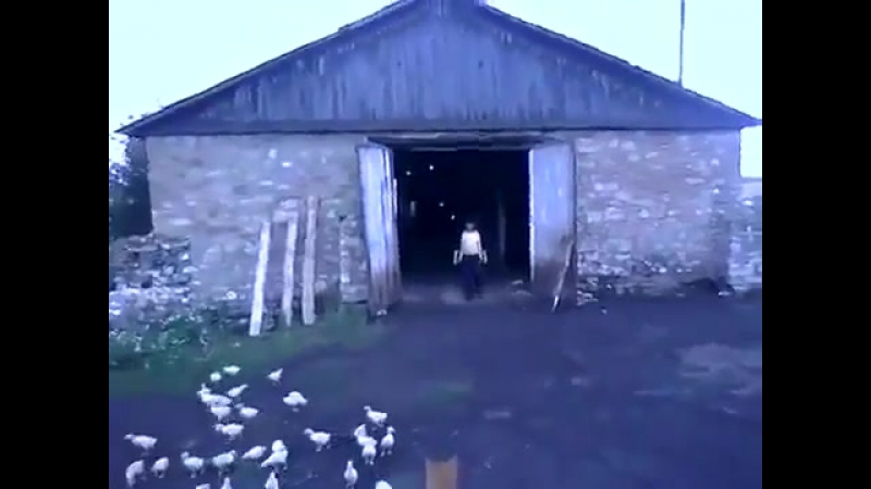 Диктатор (влажные либеральные мечты о новой революции!)