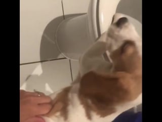 Mommy, i'm telling you, i've just seen nessie in t лондон