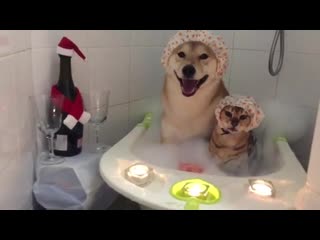 Аквадискотека