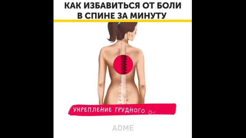 Zerofat как избавиться от боли в спине