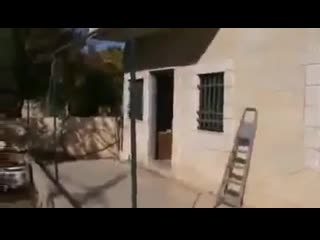 This elderly palestinian lady was evicted from her home by zionist colonists