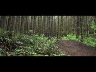 Luke strobel "tmc raw"