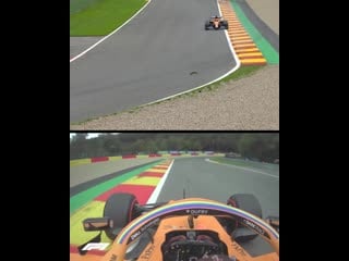 Not the place to go foraging for nuts! 😮