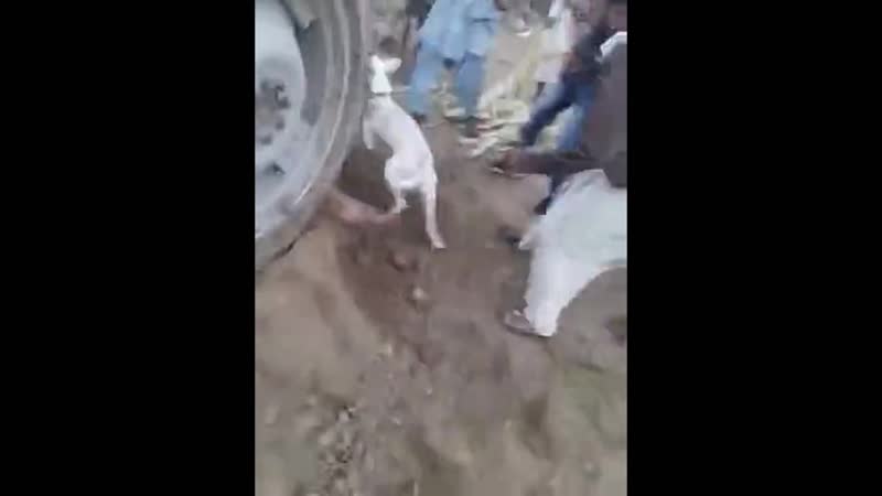 Мужика намотало