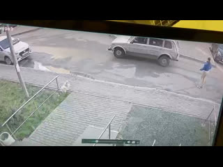 Машина поликлиники переехала собаку