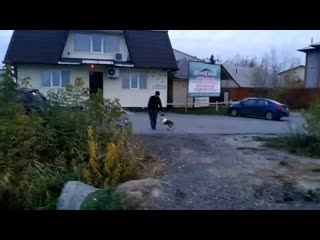 Vid 20201014 174536 mp4