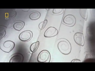 National geographic наши невидимые спутники / national geographic bug brother (2007)