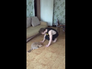 Самоизоляция by circus antre