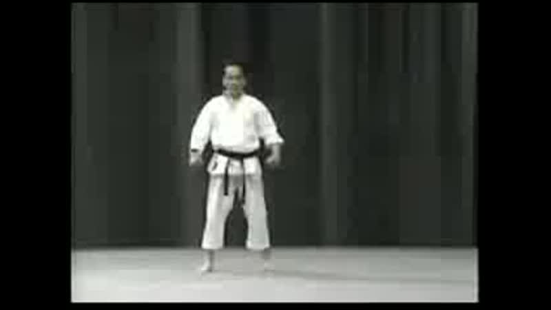 Tetsuhiko asai legendary karate master 2