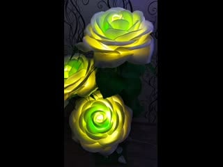 /storage/6433 3030/dcim/camera/