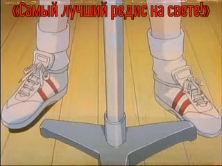 Tomoko namura – «самый лучший редис на свете!» [anix rice]