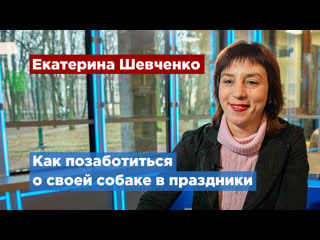 Ветеринар екатерина шевченко дала советы владельцам молодые в праздничные дни