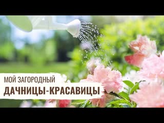 Мой загородный дачницы красавицы