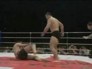 Mirko crocop filipovic knock you out by balkan porn