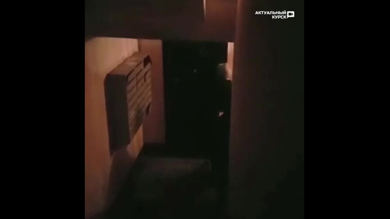 Драка в частной сауне в жилом доме