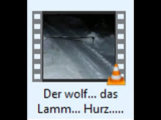 Der wolf das lamm hurz