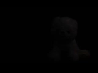 Miss pepper the polar bear ig plushies pepper