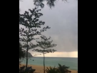 Серго обсуждает истории шкуры 😂 годный видос