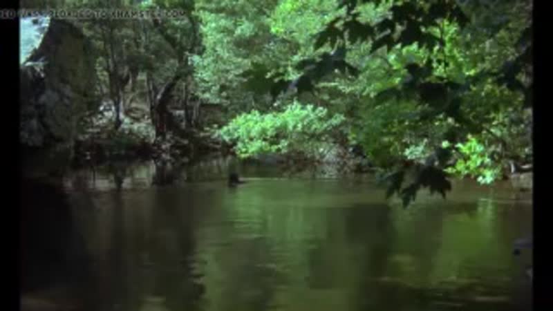 Ünlü hülya avşar