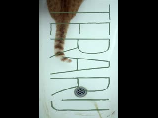 Hana jusic terarij / terrarium (2012) language croatian subtitles english (hardcoded)