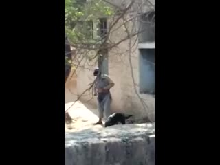 Гей муслим