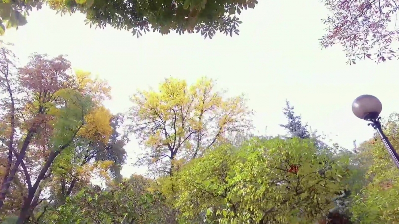 Каштаны по крымскотатарски видеоурок «elifbe»