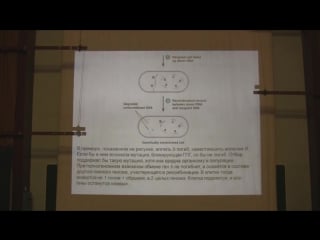 Теория эволюции марков а в лекция 8 часть 1