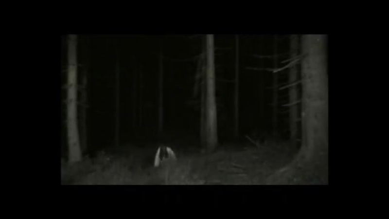 Belphegor bluhtsturm erotika (official music video)
