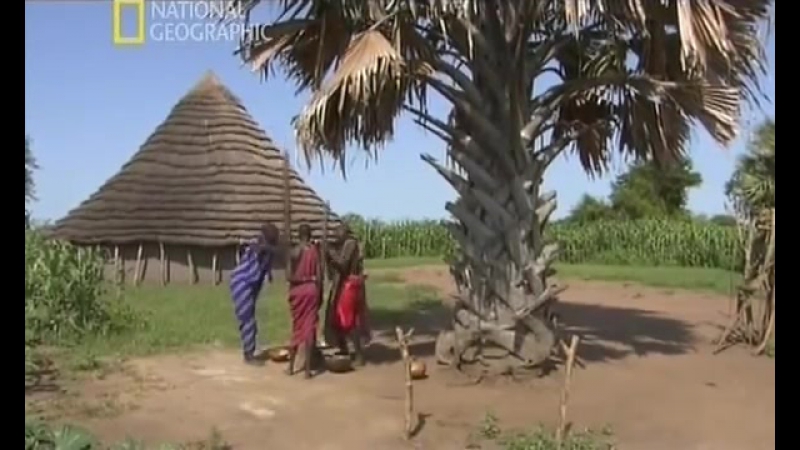 Жизнь племен 4 динка national geographic, 2007