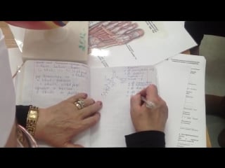 Легкие трахея бронхи д м н, проф романюк с н