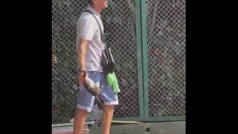 Пьяный мужик мучает мартышку