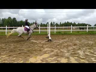 16 20200718 drozdova polina 60