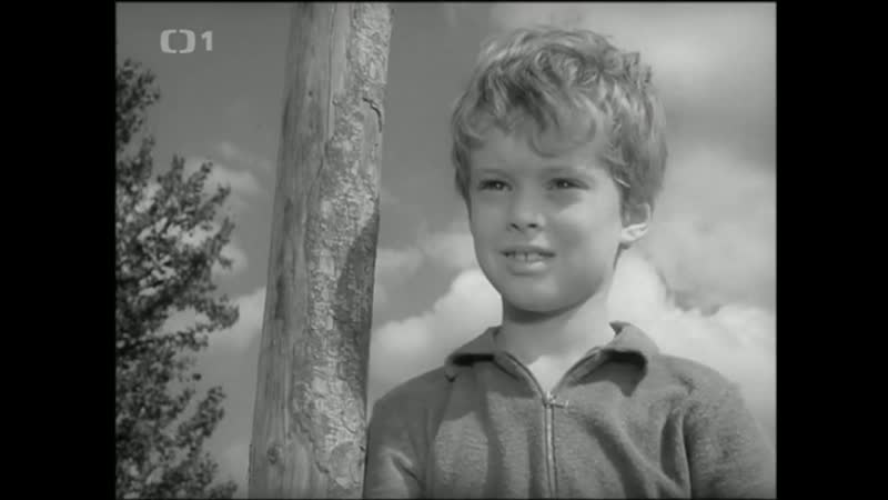 Конец лета / konec leta / konec léta (1967 чехословакия) драма молодые в кино режиссёр вацлав гудечек / vaclav hudecek