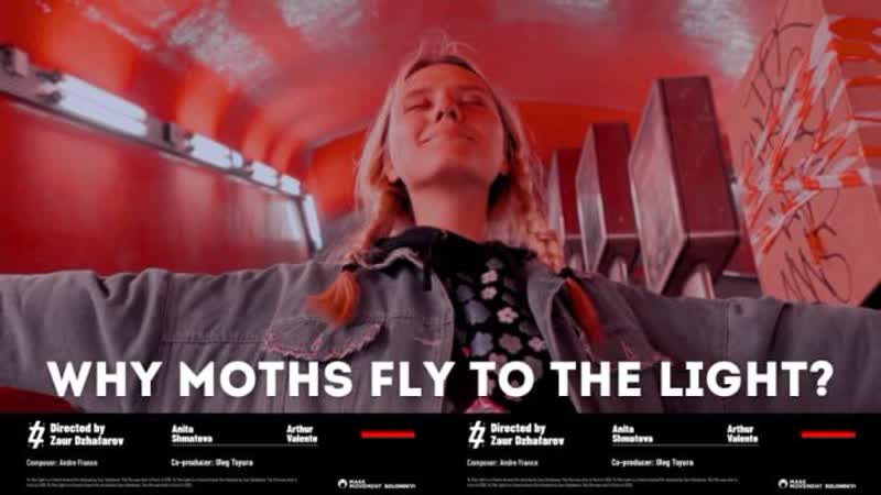 Почему мотыльки летят на свет? (чому метелики летять на світло?) (2020) why moths fly to the light?