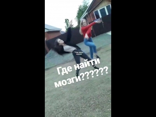 Видео от алины салимовой