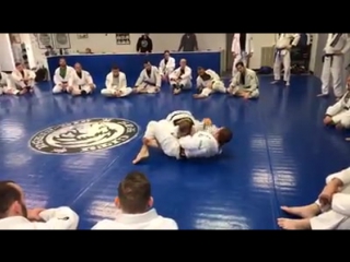 Live with scott caan yes, that scott caan