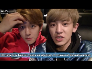 [wao ] 150518 вопрос ответ с чанёлем и бэкхёном для "baskin robbins"/ baskin robbins q&a with exo chanyeol and baekhyun