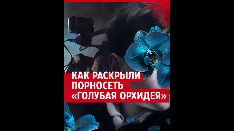 Как раскрыли порносеть «голубая орхидея»