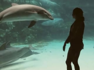 Girl makes dolphin laugh (extended)