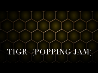 Tigr popping jam ( rdc 2017 )