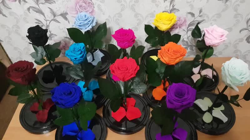 Роза в колбе без фотошопа и фильтров!